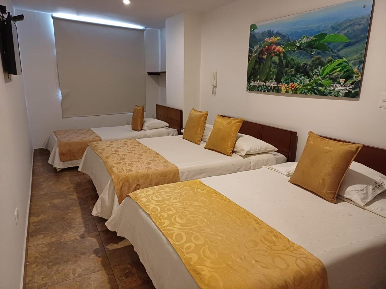 Hotel Milan 杜伊塔马 外观 照片